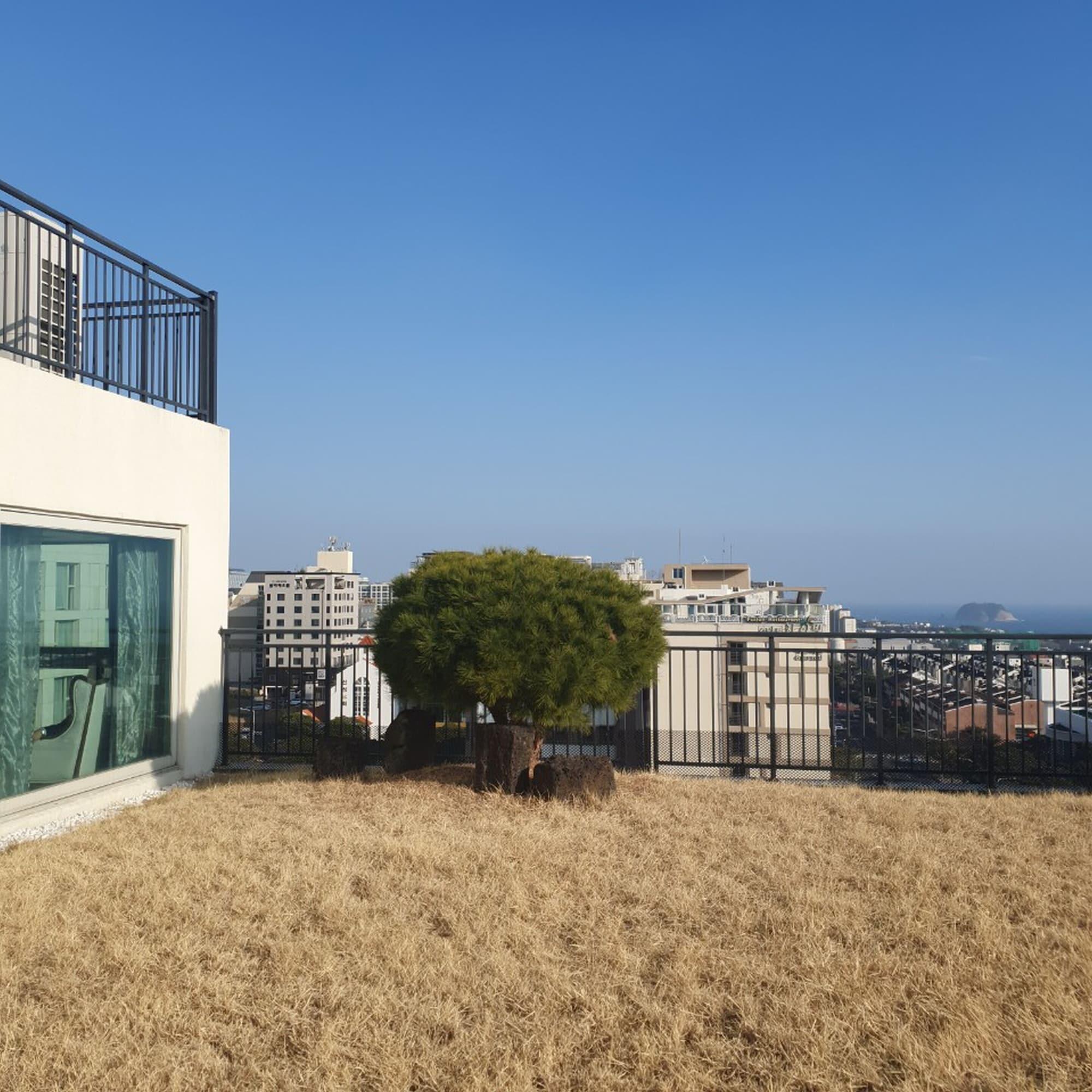 Bareve Hotel Σεογκουίπο Εξωτερικό φωτογραφία